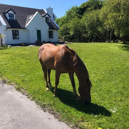 Hébergement de vacances House With Sea Views Close To With Wifi And Large Kitchen And Dining Ardnagreevagh