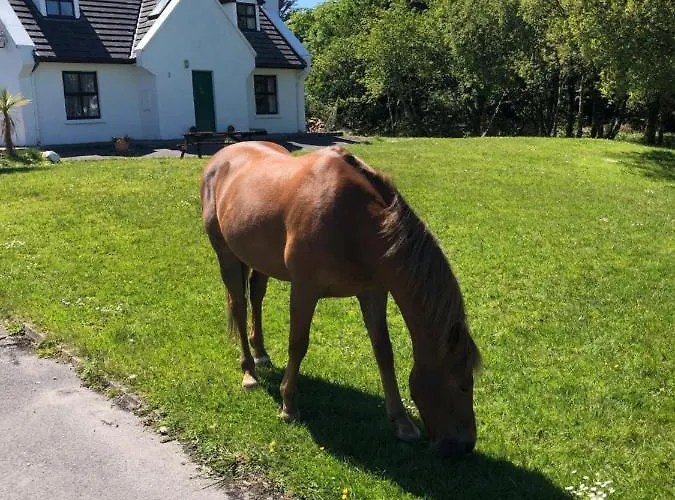 Hébergement de vacances House With Sea Views Close To With Wifi And Large Kitchen And Dining Ardnagreevagh